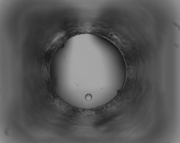 X0000093761446200710161214