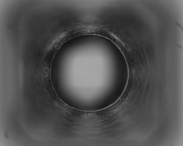 X0000093761447200710161214