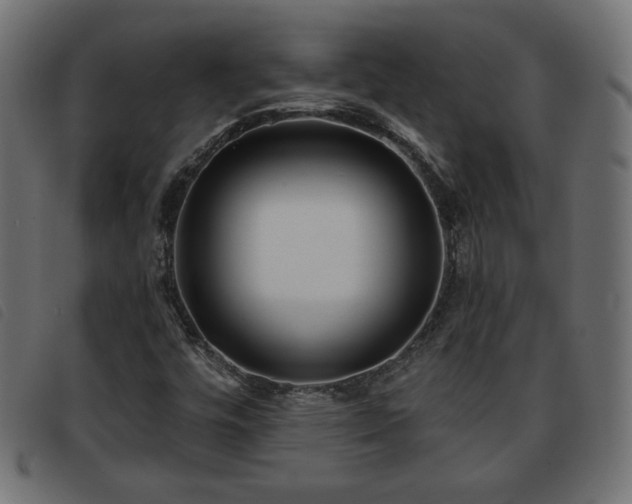 X0000093761448200710161214