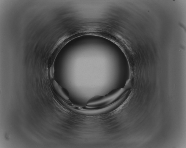 X0000093761449200710161214
