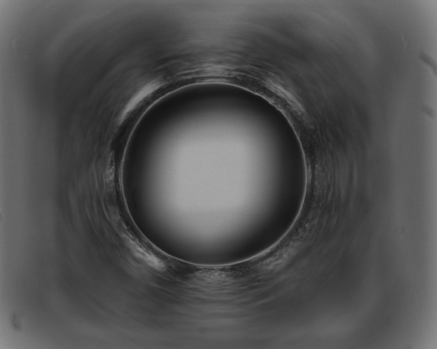 X0000093761450200710161214
