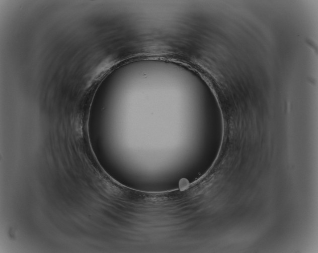 X0000093761451200710161214