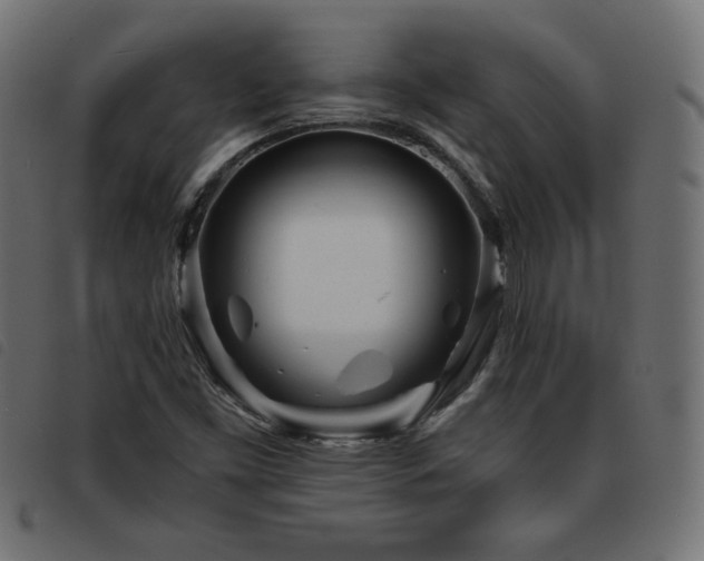 X0000093761453200710161214