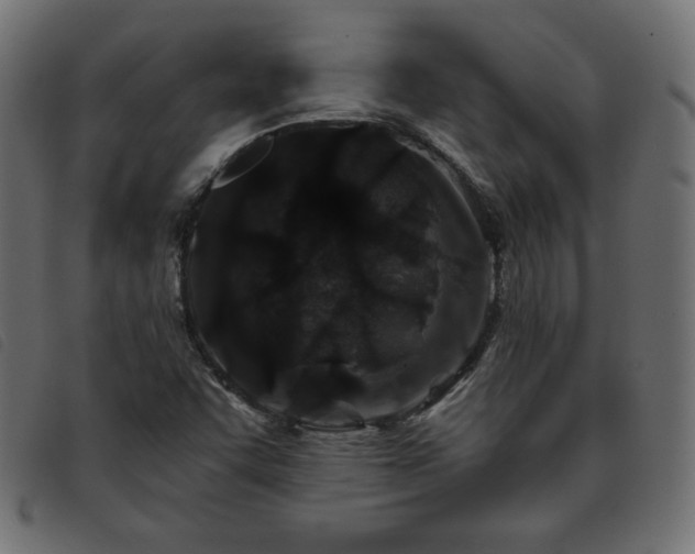 X0000093761455200710161214