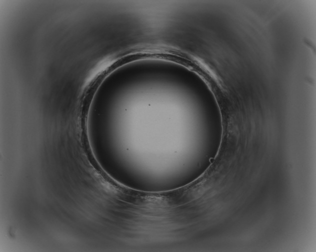 X0000093761456200710161214
