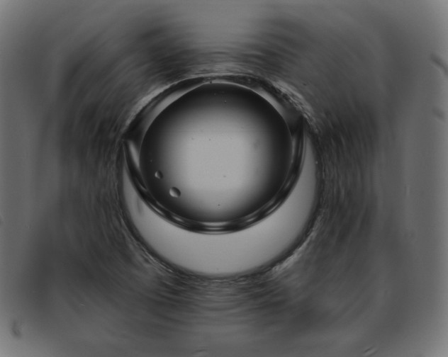 X0000093761457200710161214
