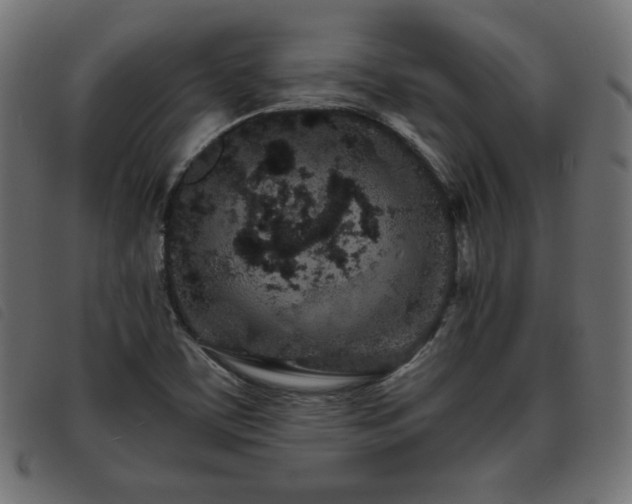 X0000093761459200710161214