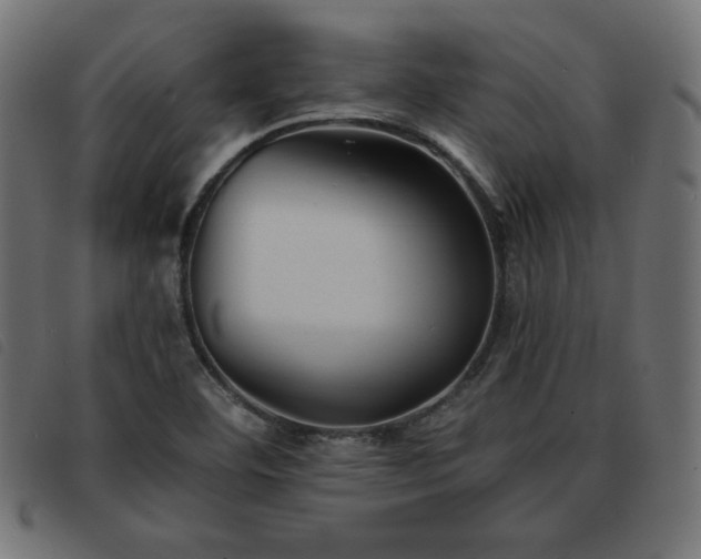X0000093761460200710161214