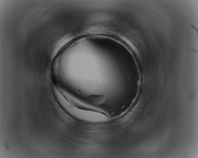 X0000093761461200710161214