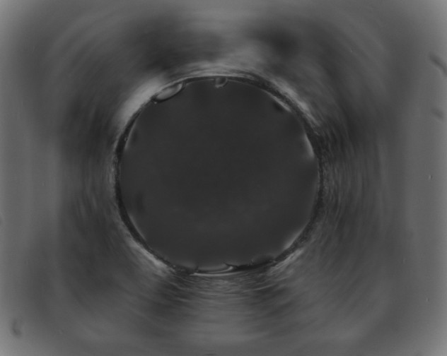 X0000093761463200710161214