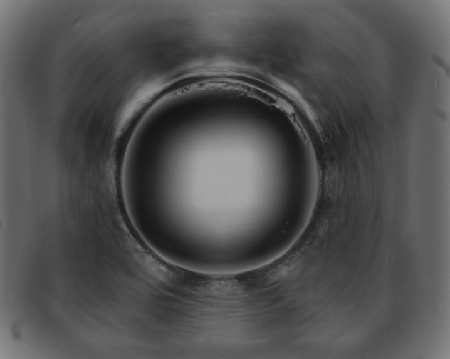 X0000093761464200710161214