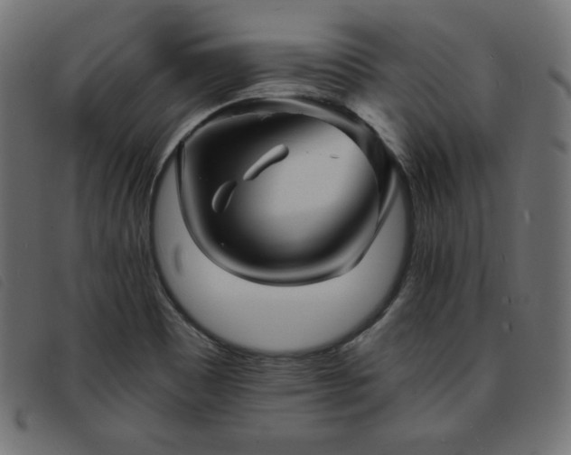 X0000093761465200710161214