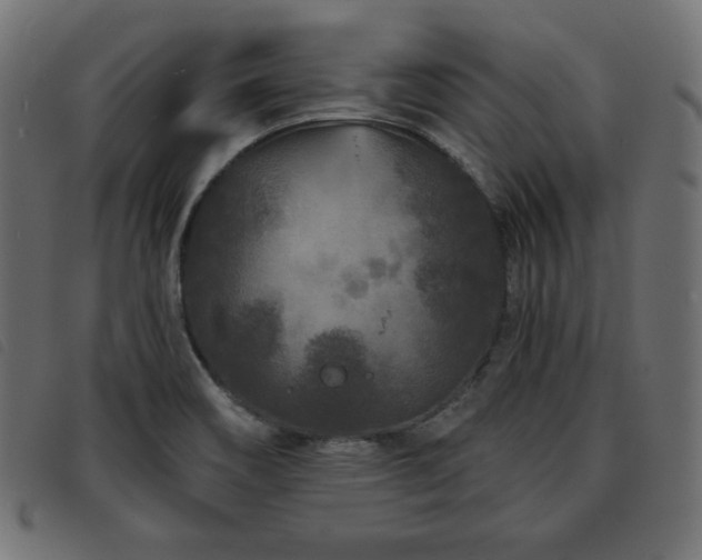 X0000093761466200710161214