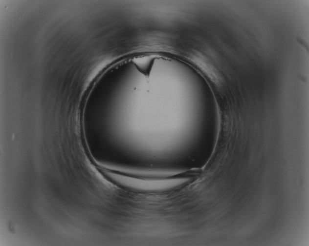 X0000093761468200710161214