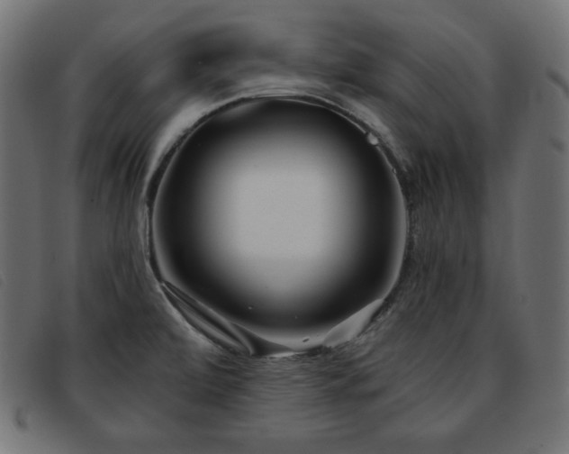 X0000093761472200710161214