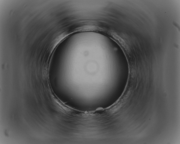 X0000093761473200710161214