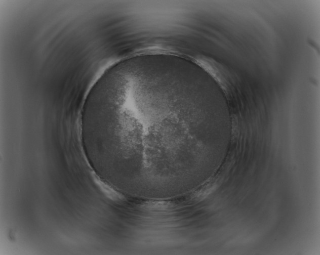 X0000093761474200710161214