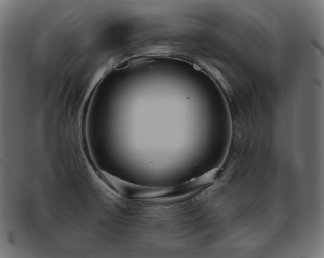 X0000093761475200710161214