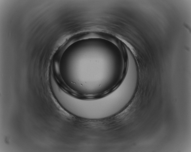 X0000093761477200710161214