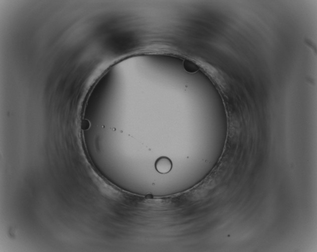 X0000093761478200710161214