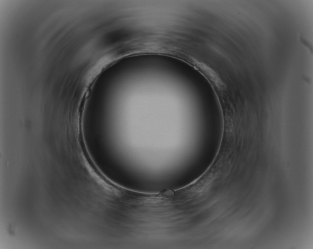 X0000093761479200710161214