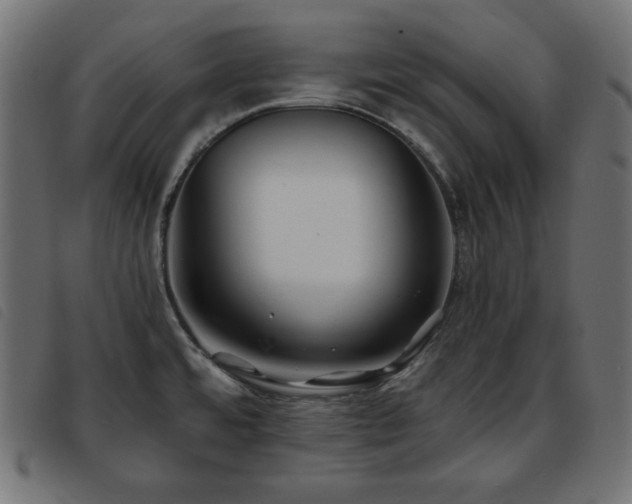 X0000093761480200710161214