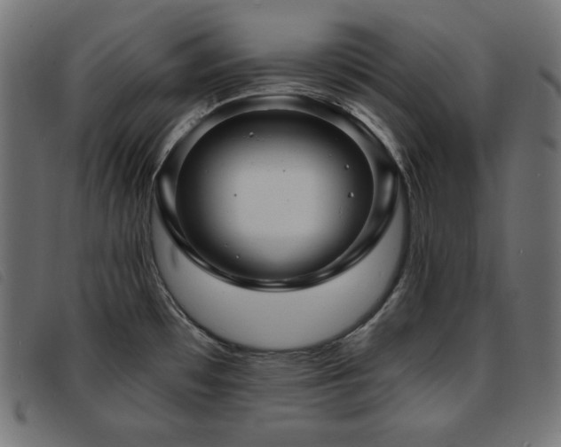 X0000093761481200710161214