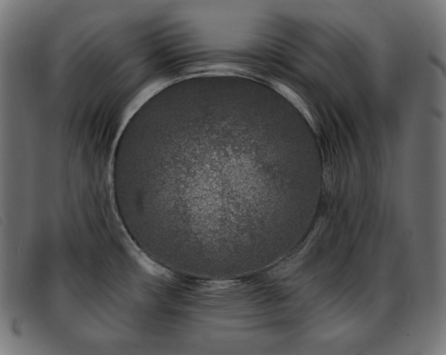 X0000093761482200710161214