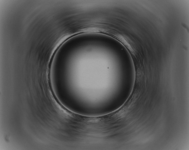 X0000093761484200710161214