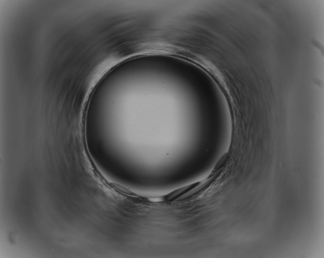 X0000093761488200710161213