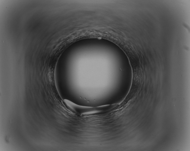 X0000093761490200710161213