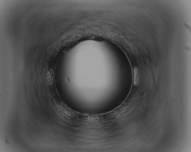 X0000093761491200710161213