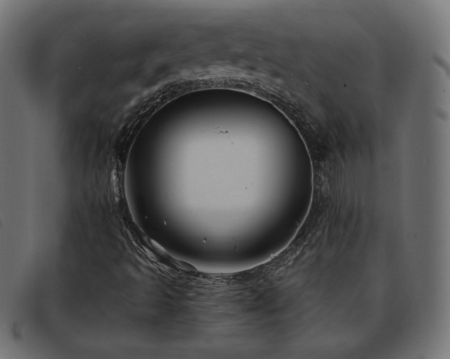 X0000093761493200710161213