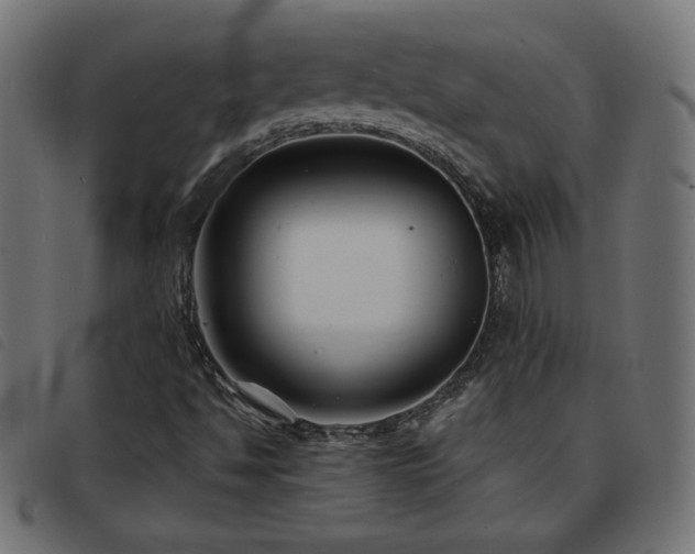 X0000093761494200710161213