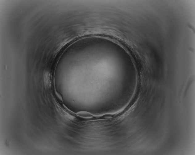 X0000093761497200710161213
