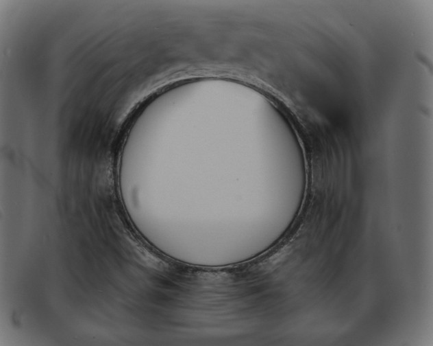 X0000093761498200710161213