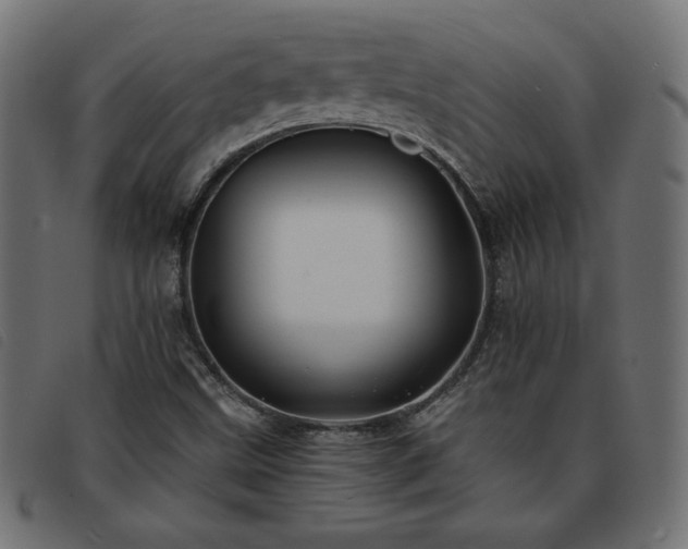 X0000093761499200710161213