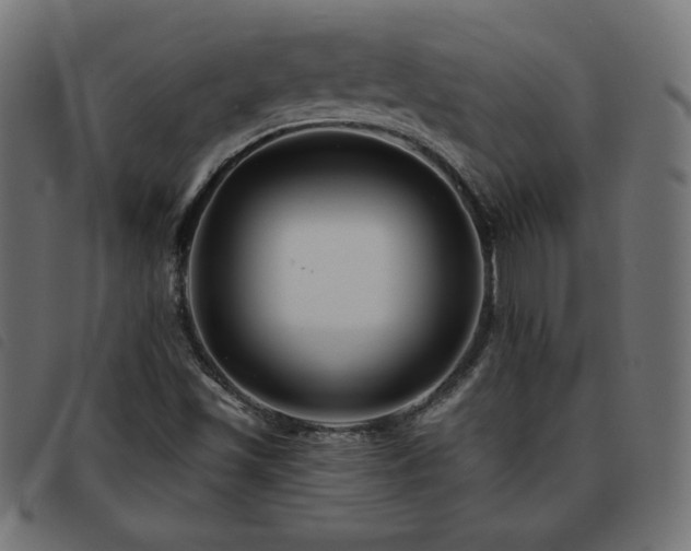 X0000093761501200710161213