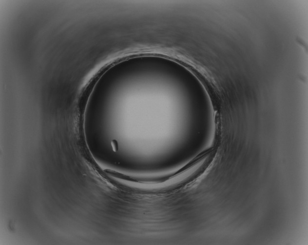 X0000093761502200710161213