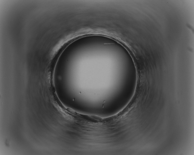 X0000093761503200710161213