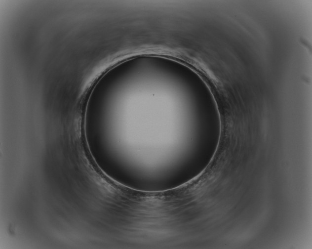 X0000093761504200710161213