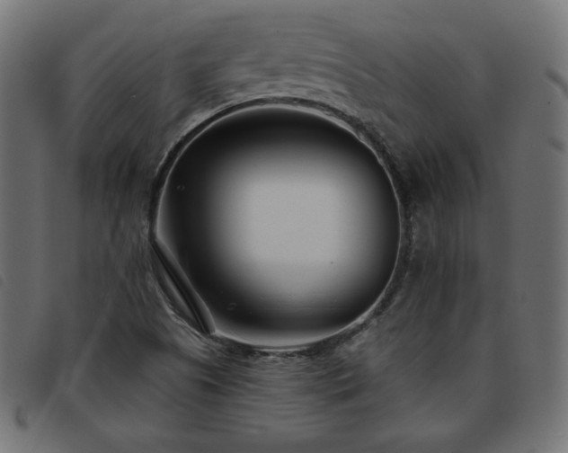 X0000093761505200710161213