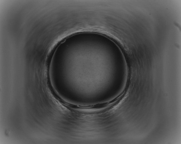 X0000093761506200710161213