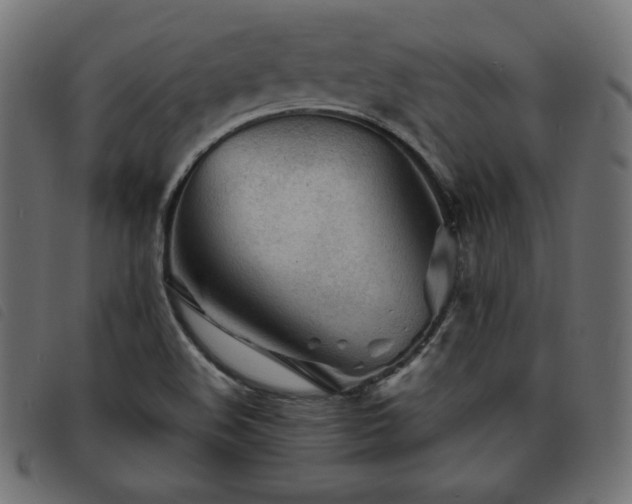 X0000093761508200710161213