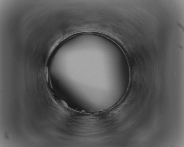 X0000093761509200710161213