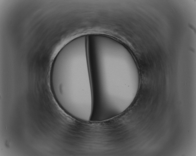 X0000093761512200710161213