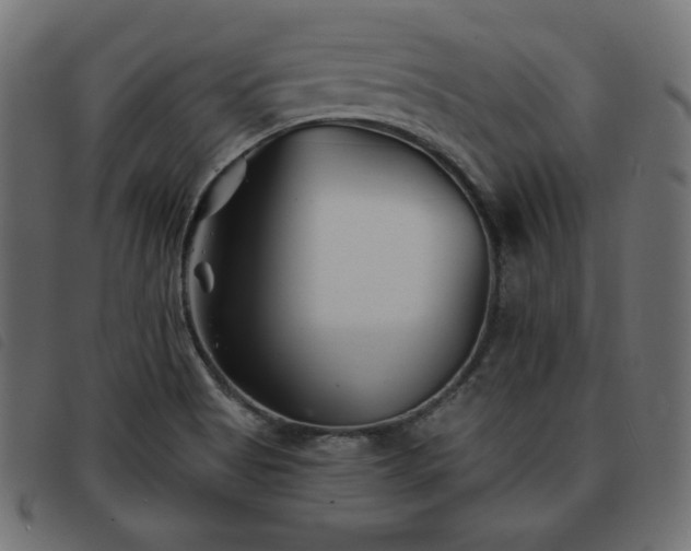 X0000093761513200710161213