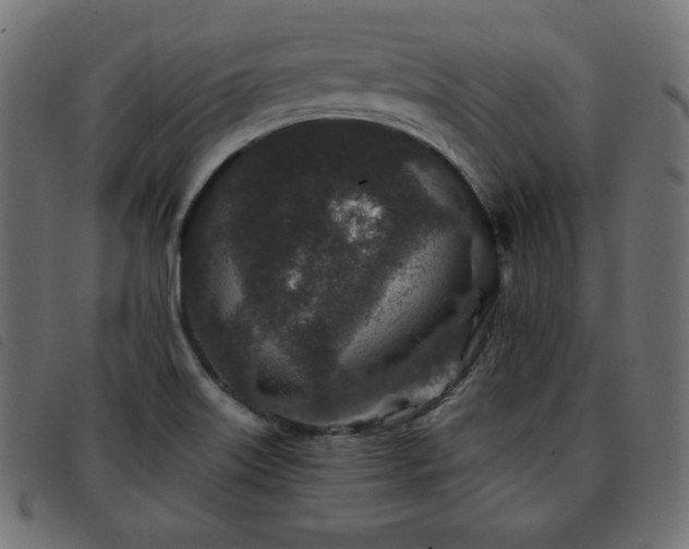 X0000093761515200710161213