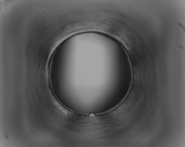 X0000093761516200710161213