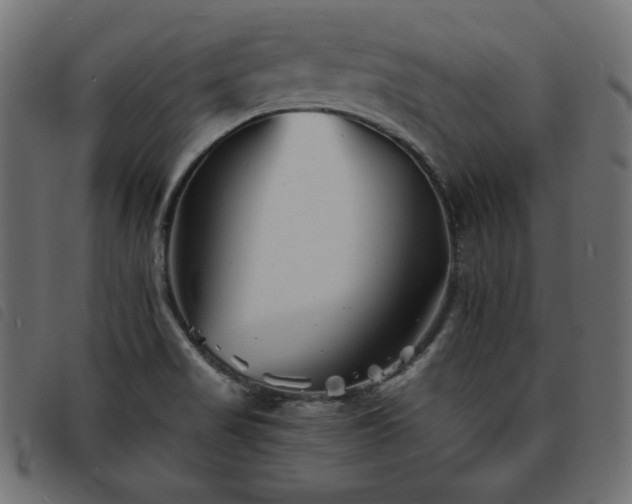 X0000093761517200710161213